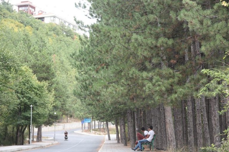 Лесопарк „Момчил юнак“ ще има нова визия