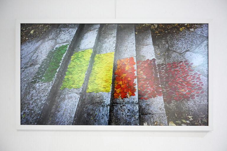 „Сърцето на природата“ – изложба с екологична кауза