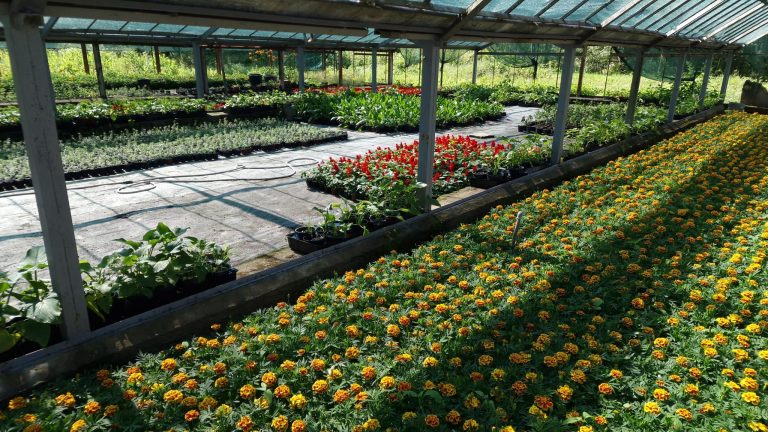 Стартира ежегодната кампания „Зелено Габрово“