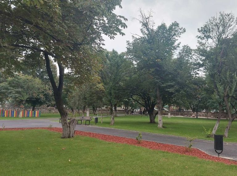 В Браниполе се радват на своя Японска градина