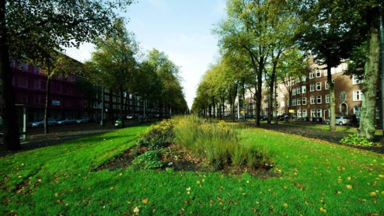 Предстои форум „Зелени градове – с грижа за бъдещето“ в УАСГ