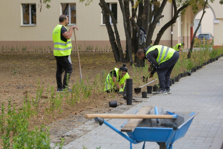 Изграждат зелени споделени пространства в кв. „Захарна фабрика“
