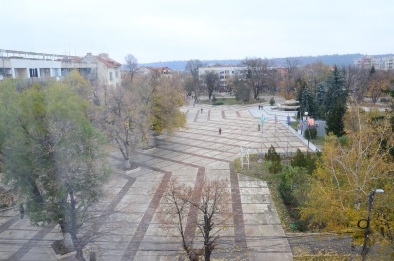 Обсъждат премахване на 73 дървета заради ремонт в Бяла Слатина