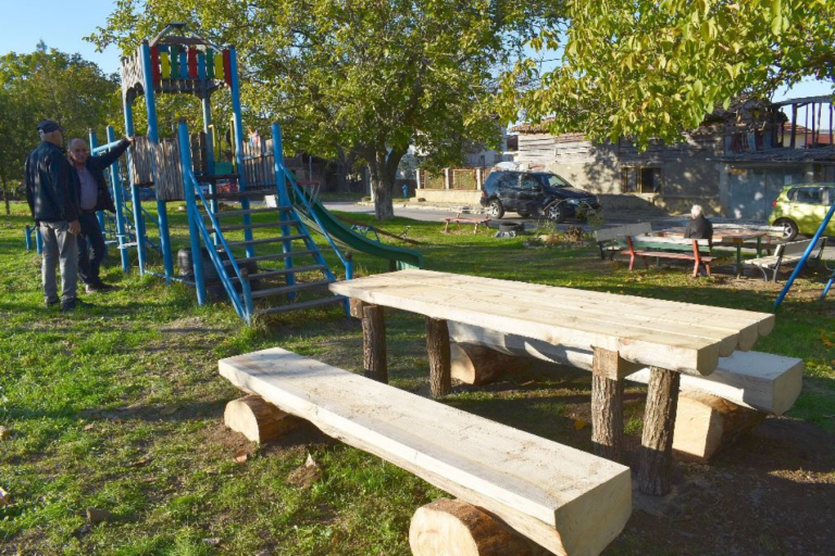 В Разград изработват паркова мебел от стволове на отсечени дървета