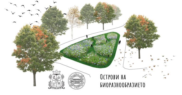 Създават „Острови на биоразнообразието“ в Южния парк в София