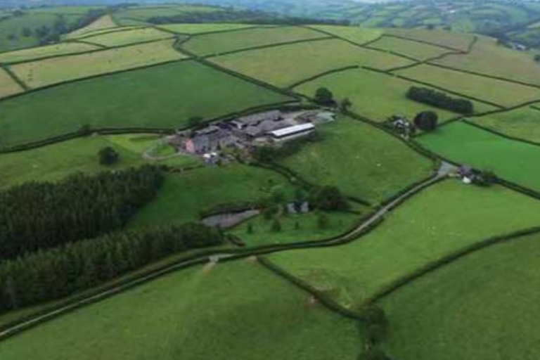 С бюджет от 1 млрд. лв. стартира приемът на проекти за развитие на селските райони