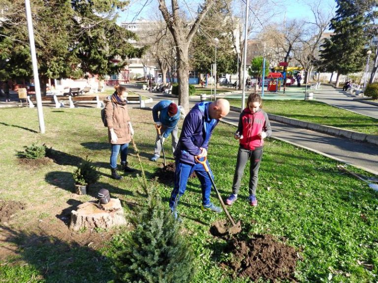 Започна кампания за засаждане на живи коледни дръвчета