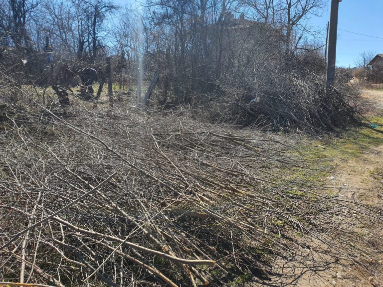 Студентска инициатива възражда изоставен парк в София