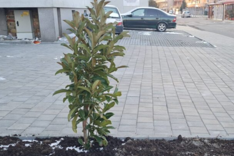 Община Поморие разширява Зелената система с участието на гражданите