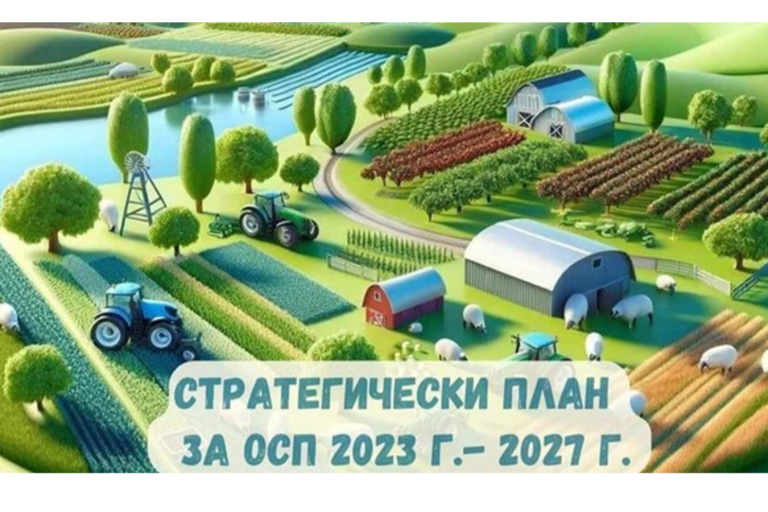 Близо 600 инфраструктурни проекта са подадени по Плана за развитие на селските райони