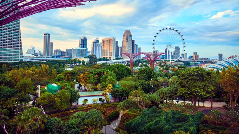 Младежи от Югозападна България търсят решения за бъдещето на зелените градове