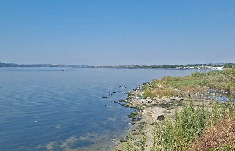 През уикенда: Почистват част от северния бряг на Варненското езеро