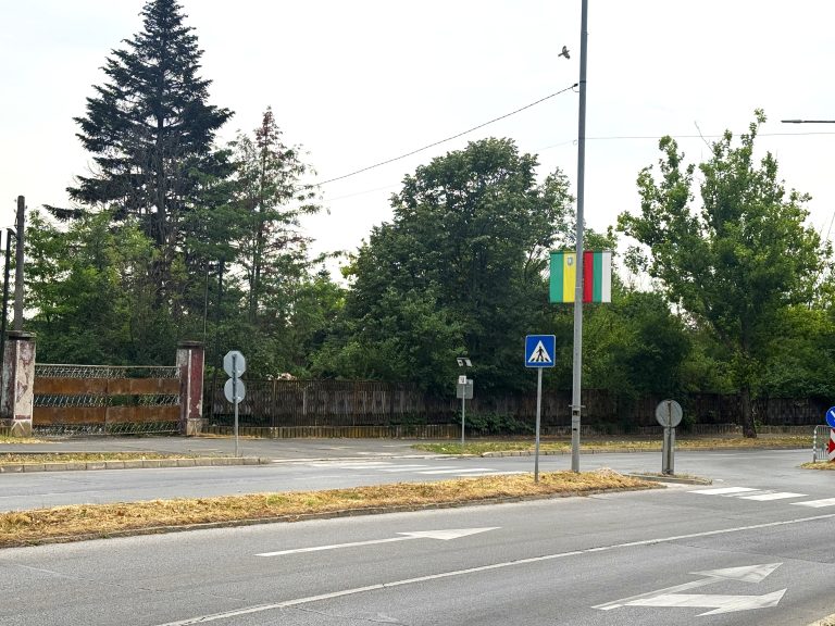 Поставят изкуствени неравности на ключова ямболска улица