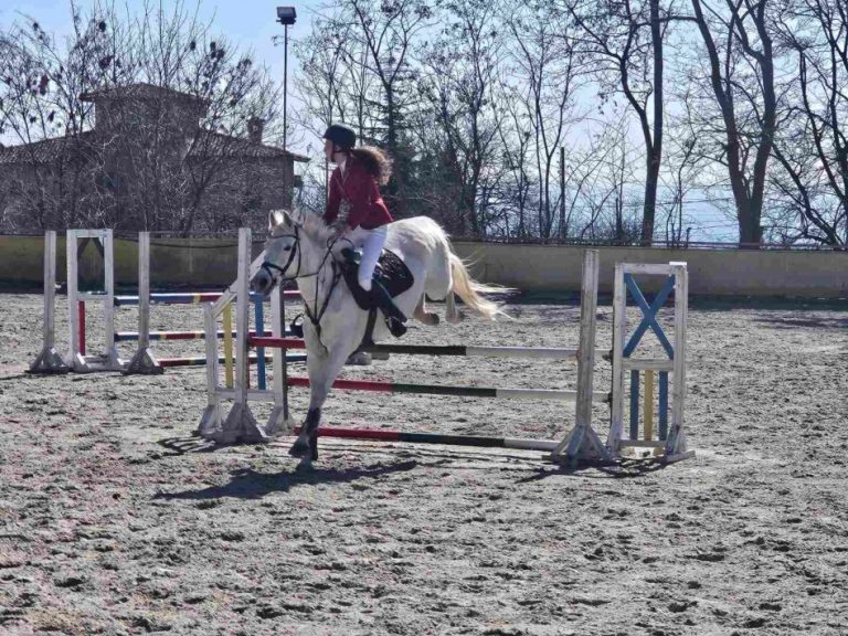 Обявиха обществената поръчка за ремонт на конната база в кв. „Виница“