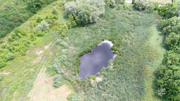 Спират строителството в района на Боянското блато