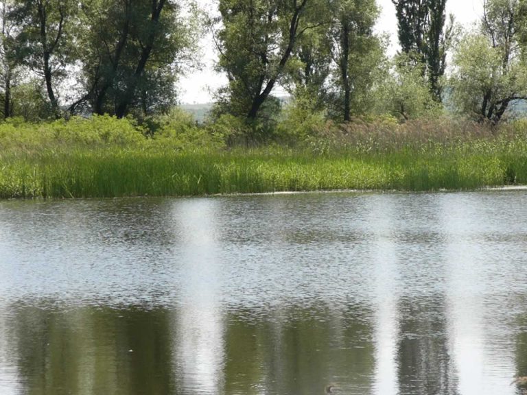 Отдават на концесия язовири в община Хасково