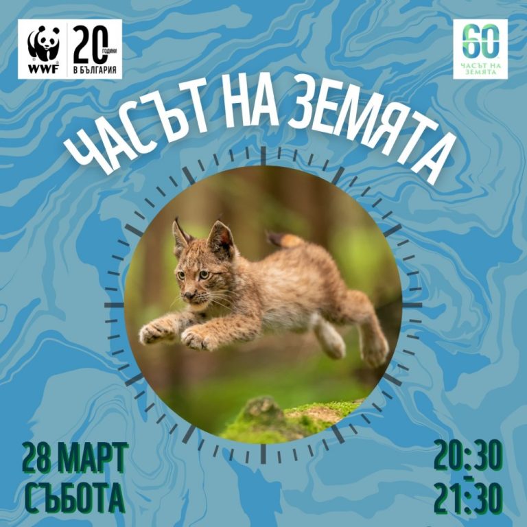 За 20-и път: Отбелязваме световната инициатива „Часът на Земята”