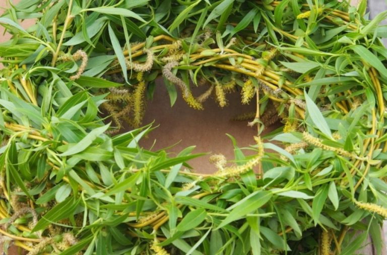 На Цветница: 1000-метров венец от върба плетат в Елин Пелин